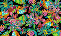 Image Not Available